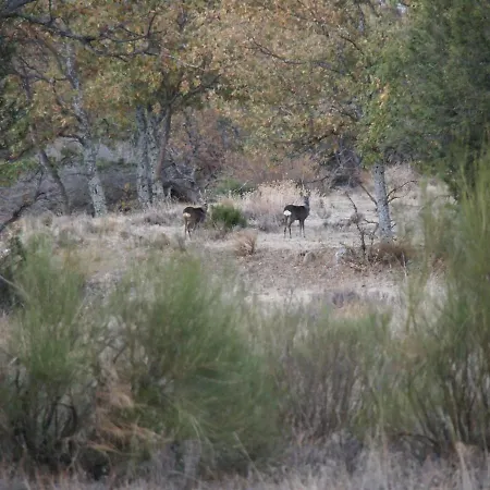 Prázdninový dům La Casa De Azas Casla