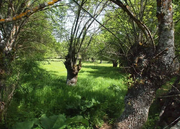 Casa de Férias La Casa De Azas *