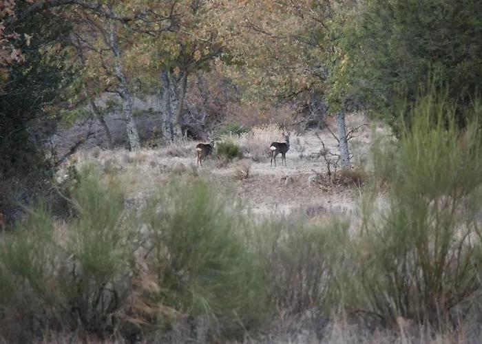 Casa de Férias La Casa De Azas Casla